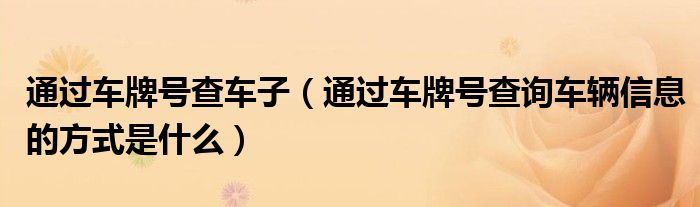 通过车牌号查车子（通过车牌号查询车辆信息的方式是什么）
