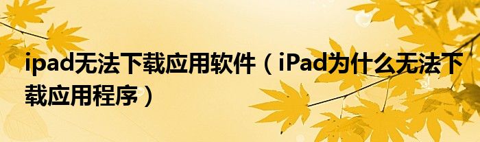 ipad无法下载应用软件（iPad为什么无法下载应用程序）