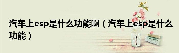 汽车上esp是什么功能啊（汽车上esp是什么功能）