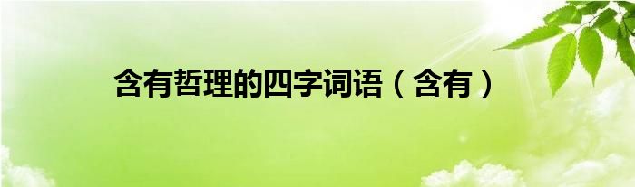 含有哲理的四字词语（含有）