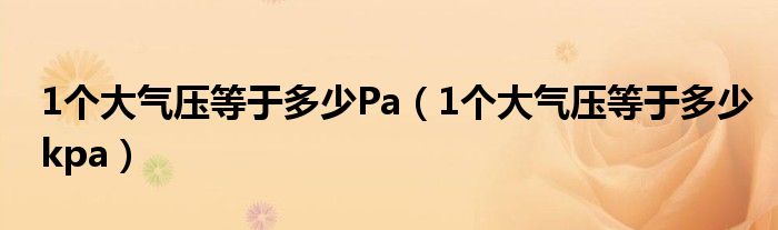 1个大气压等于多少Pa（1个大气压等于多少kpa）