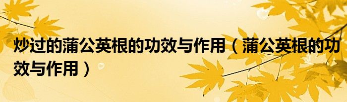 炒过的蒲公英根的功效与作用（蒲公英根的功效与作用）