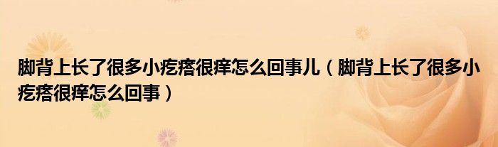 脚背上长了很多小疙瘩很痒怎么回事儿（脚背上长了很多小疙瘩很痒怎么回事）