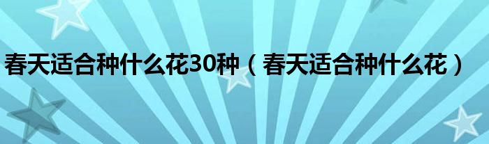 春天适合种什么花30种（春天适合种什么花）
