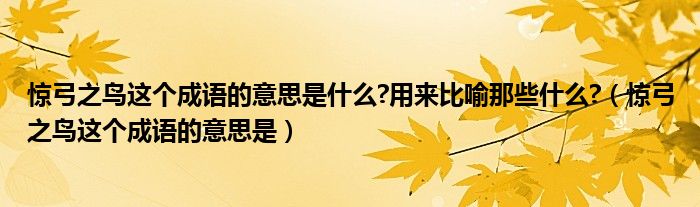 惊弓之鸟这个成语的意思是什么?用来比喻那些什么?（惊弓之鸟这个成语的意思是）