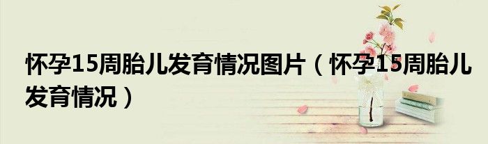 怀孕15周胎儿发育情况图片（怀孕15周胎儿发育情况）
