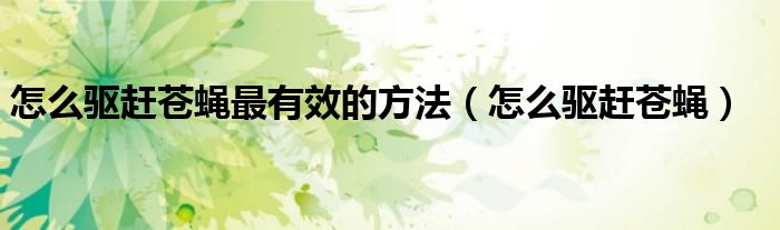怎么驱赶苍蝇最有效的方法（怎么驱赶苍蝇）