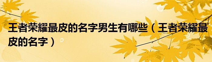 王者荣耀最皮的名字男生有哪些（王者荣耀最皮的名字）
