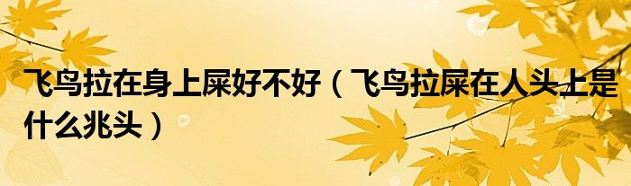 飞鸟拉在身上屎好不好（飞鸟拉屎在人头上是什么兆头）