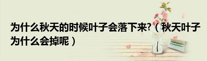 为什么秋天的时候叶子会落下来?（秋天叶子为什么会掉呢）