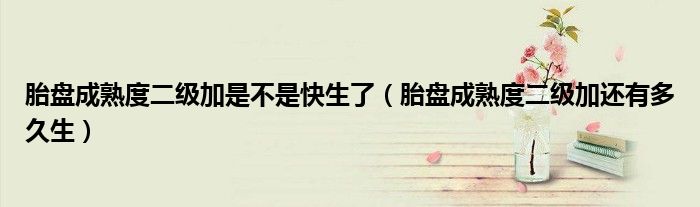 胎盘成熟度二级加是不是快生了（胎盘成熟度二级加还有多久生）