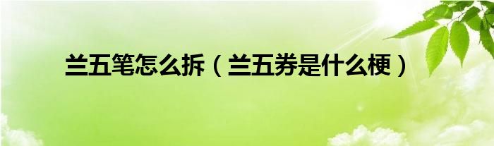 兰五笔怎么拆（兰五券是什么梗）
