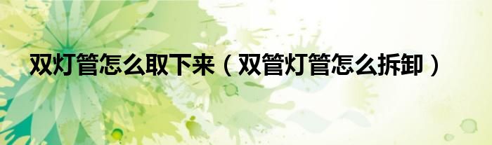 双灯管怎么取下来（双管灯管怎么拆卸）