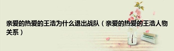 亲爱的热爱的王浩为什么退出战队（亲爱的热爱的王浩人物关系）