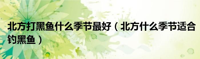 北方打黑鱼什么季节最好（北方什么季节适合钓黑鱼）