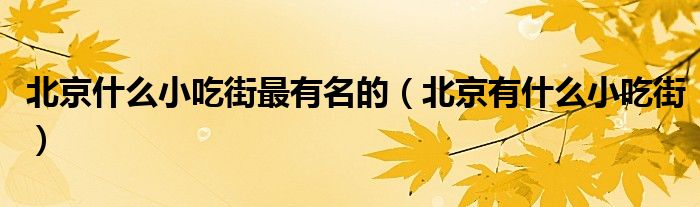 北京什么小吃街最有名的（北京有什么小吃街）