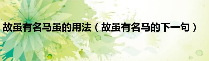 故虽有名马虽的用法（故虽有名马的下一句）