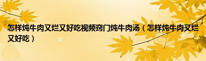怎样炖牛肉又烂又好吃视频窍门炖牛肉汤（怎样炖牛肉又烂又好吃）