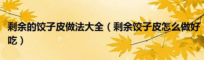 剩余的饺子皮做法大全（剩余饺子皮怎么做好吃）
