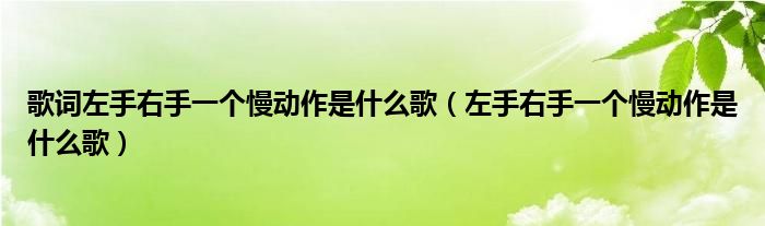 歌词左手右手一个慢动作是什么歌（左手右手一个慢动作是什么歌）