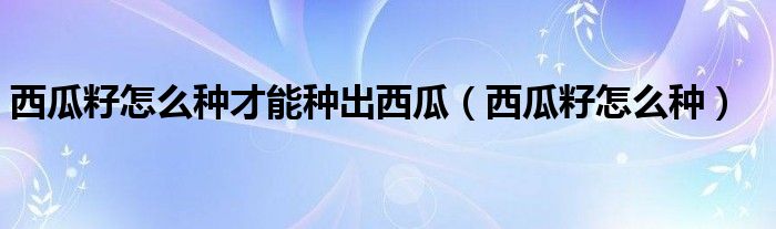 西瓜籽怎么种才能种出西瓜（西瓜籽怎么种）