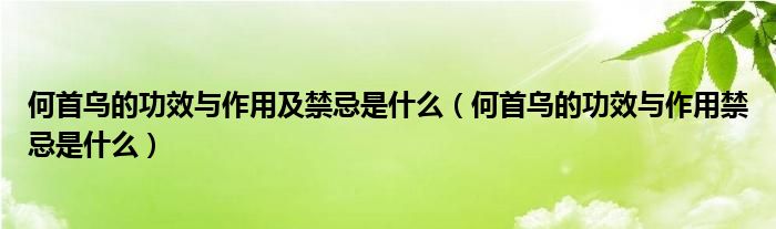 何首乌的功效与作用及禁忌是什么（何首乌的功效与作用禁忌是什么）