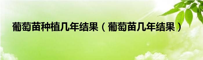 葡萄苗种植几年结果（葡萄苗几年结果）