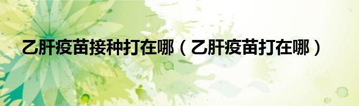 乙肝疫苗接种打在哪（乙肝疫苗打在哪）