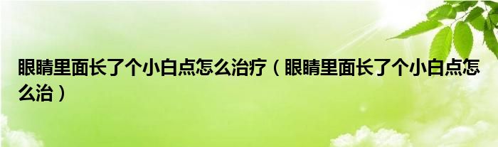 眼睛里面长了个小白点怎么治疗（眼睛里面长了个小白点怎么治）