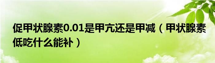 促甲状腺素0.01是甲亢还是甲减（甲状腺素低吃什么能补）