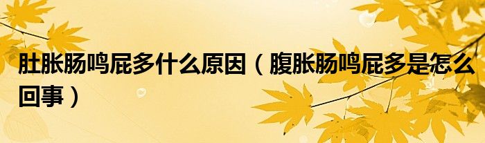 肚胀肠鸣屁多什么原因（腹胀肠鸣屁多是怎么回事）