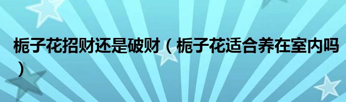 栀子花招财还是破财（栀子花适合养在室内吗）