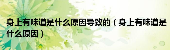 身上有味道是什么原因导致的（身上有味道是什么原因）