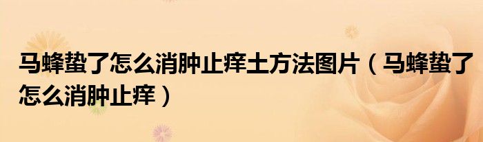 马蜂蛰了怎么消肿止痒土方法图片（马蜂蛰了怎么消肿止痒）
