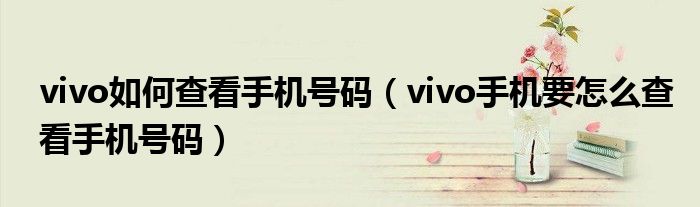 vivo如何查看手机号码（vivo手机要怎么查看手机号码）