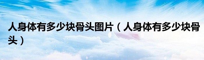 人身体有多少块骨头图片（人身体有多少块骨头）