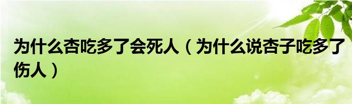 为什么杏吃多了会死人（为什么说杏子吃多了伤人）