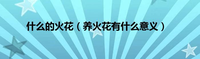 什么的火花（养火花有什么意义）