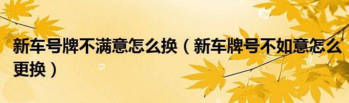 新车号牌不满意怎么换（新车牌号不如意怎么更换）