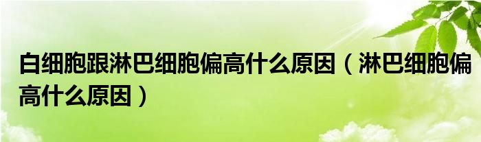 白细胞跟淋巴细胞偏高什么原因（淋巴细胞偏高什么原因）