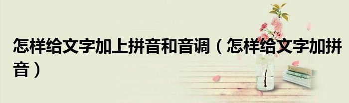 怎样给文字加上拼音和音调（怎样给文字加拼音）