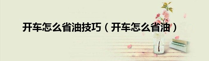 开车怎么省油技巧（开车怎么省油）