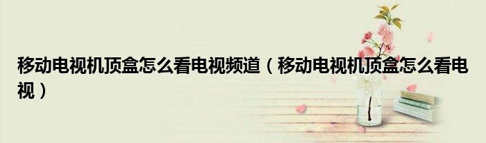 移动电视机顶盒怎么看电视频道（移动电视机顶盒怎么看电视）