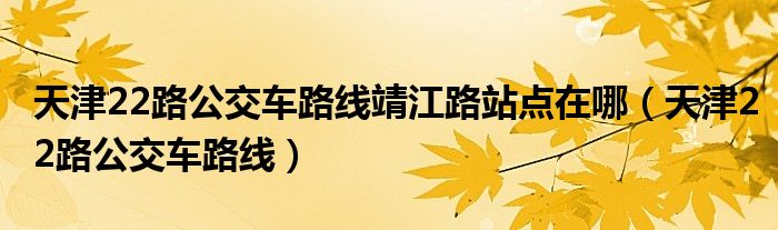 天津22路公交车路线靖江路站点在哪（天津22路公交车路线）