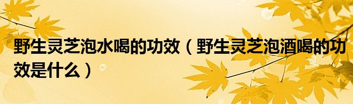野生灵芝泡水喝的功效（野生灵芝泡酒喝的功效是什么）