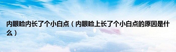 内眼睑内长了个小白点（内眼睑上长了个小白点的原因是什么）
