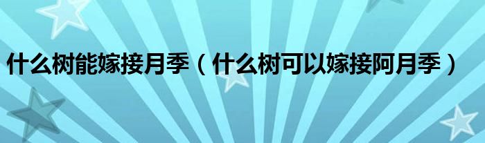 什么树能嫁接月季（什么树可以嫁接阿月季）