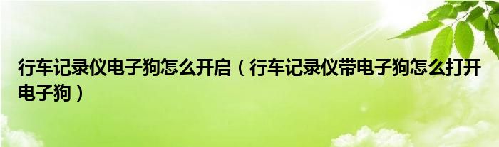 行车记录仪电子狗怎么开启（行车记录仪带电子狗怎么打开电子狗）