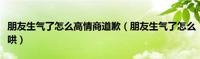 朋友生气了怎么高情商道歉（朋友生气了怎么哄）
