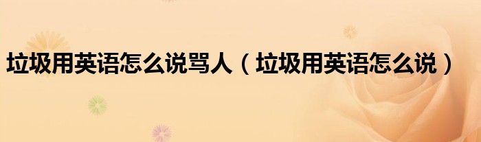 垃圾用英语怎么说骂人（垃圾用英语怎么说）